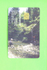 ROMANIA - Chip Phonecard As Scan - Rumania