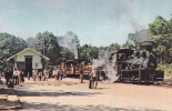 Trains,Pine Creek Railroad ,  Postcard Unused - Metropolitana