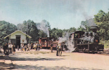 Trains,Pine Creek Railroad ,  Postcard Unused - Métro