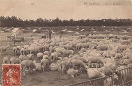 EN BEAUCE PARC A MOUTONS - Centre-Val De Loire