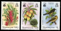 (003) Montserrat Flowers And Birds / Fleurs Et Oiseaux / Flora And Fauna  ** / Mnh  Michel 565-67 - Montserrat