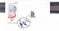 Pélicans,Pelican 2006 CM,maxicard,cartes Maximum - Romania. - Pélicans