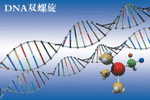 [Y36-53  ]   Chemist  Chemistry  Gene DNA Biochemistry   , Postal Stationery --Articles Postaux -- Postsache F - Scheikunde