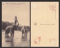 SRI LANKA CEYLON ELEPHANTS OLD POSTCARD  - D13845 - Elefanten