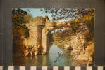 ARIEGE  LE PONT DU DIABLE ENTRE TARASCON ET FOIX - Foix