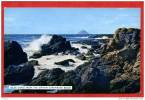 * AILSA CRAIG FROM THE GIRVAN - STRANRAER ROAD-1964 - Ayrshire