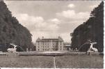 SCHWETZINGEN. HIRSCHGRUPPE IM SCHLOSSGARTEN.......... - Schwetzingen