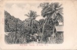 SAINT LUCIA - WEST INDIES - BELLA ROSA - CASTRIES - Sainte-Lucie