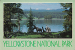 B32319 Yellowstone National Park Moose In Lake Area   Used Perfect  Shape - Yellowstone