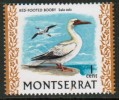 MONTSERRAT   Scott #  231**  VF MINT NH - Montserrat