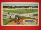 Blue Grass Stock Farm "In Old Kentuck"   Linen----------  =========  Ref 283 - Sonstige & Ohne Zuordnung