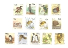 Nueva Zelanda Pajaros Birds Used - Used Stamps