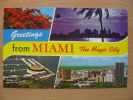Miami Multi - Miami Beach