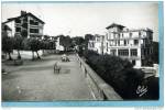 64  -  GUETHARY  -  L´ Esplanade , Les Hotels Gurutzia Et Guetharia - SM  - BELLE CARTE PHOTO  -Elce - Guethary