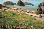 B32452 Oregon Coast Cape Sebastian Used Perfect Shape - Autres & Non Classés