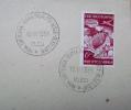 1951 YUGOSLAVIA CANCELATION ON COVER AND STAMP FOR 1ST PARACHUTTING WORLD CHAMPIONSHIP - Paracadutismo