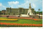 Inghilterra- Londra-london-buckigham Palace - Buckingham Palace