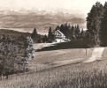 Hochwacht Pannenstiel Kulm Egg Zürich Blick Gegen Die Glarneralpen Ca. 1960 - Egg