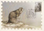 758 - Russie Carte Postale Maximum - Cartes Maximum