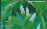 # KOREA MO0004109 Flowers 2000 Autelca 04.00 -fleurs,flowers- Tres Bon Etat - Corea Del Sur