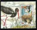 BULGARIA / BULGARIE - 2000 - Cigognes - Bl.obl. - Cigognes & échassiers