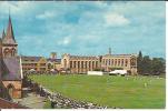 CRICKET FESTIVAL.CHELTENHAM COLLEGE. - Cheltenham