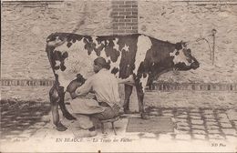 EN BEAUCE LA TRAITE DES VACHES - Centre-Val De Loire