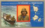 ST PIERRE ET MIQUELON , LION NOIR , Descriptif Au Dos , * 125 20 - Saint-Pierre-et-Miquelon