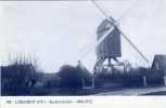 LOKEREN (O.Vl.) - Molen/moulin - De Gewezen Staaktemolen 1806-1952. Blauwe Prentkaart Ons Molenheem 1980 Naar Oude Foto - Lokeren