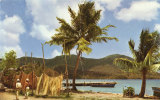 Martinique Lebord De Mer - Polynésie Française