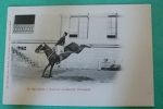 Sauteur En Liberté - Croupade - Horse Show