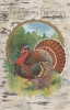 Vintage Thanksgiving Card - Turkey - Gold Embossed - Relief Dorures -  Stamp & Postmark 1913 - 2 Scans - Thanksgiving