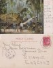 Br India King Edward, Used On Picture Postcard, Sea Post Office Postmark, Sent To England, India - 1902-11 Roi Edouard VII