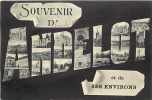 Dept Div - Haute Marne - Ref C442- Souvenir D Andelot Et De Ses Environs - - Andelot Blancheville