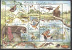 2008 CZECH REP. - UNESCO-NATURE-BIRDS SHEETLET - Blocks & Sheetlets