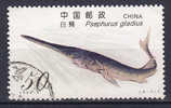 China Chine 1994 Mi. 2523   50 F Fish Fische Schwerstör - Used Stamps