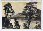 Switserland, Baset, Blick Gegen Das Bale, Vue Sur Le Rhin, 1930, Michel 237, Send To Paris - Storia Postale