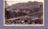 Angleterre - Ashress Bridge Skiddaw And Derwentwater; Keswick - Andere & Zonder Classificatie