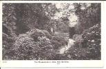 THE RHODODENDRON DELL. KEW GARDENS. - Londen - Buitenwijken