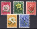 Netherlands 1952 Charity Flowers Zomerzegel MNH(**) - Nuovi