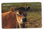 JERSEY TELECOMS (GPT)  - 1994  JERSEY COW  (CODE 27JERA)   - USED ° -  RIF. 4345 - Cows