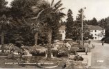 19090    Austria,    Kurort  Bad  Tatzmannsdorf,  BGLD.,  Kurpark,  VG  1958 - Sonstige & Ohne Zuordnung