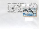 TAAF ENV ALFRED FAURE CROZET 28/2/1978 FLAMME ALBATROS TIMBRE N° 65 - Unused Stamps