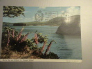 MULROY BAY 1982 - Donegal