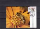 Abeille:Carte Premier Jour OblitéréeTBN°2039 - Api