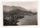 LUINO - Panorama - Cartolina FG BN V 1951 - Luino