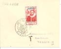 N°248 JOURNEE DU TIMBRE  ALGER       Le      29 JUIN 1946 - Storia Postale