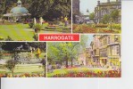 Harrogate - Harrogate