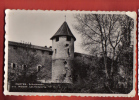 B563 Murten Morat Remparts Schutwehr.Mention Course D'école 1954. Perrochet  845 - Murten