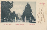 $3-1527- Rovigo - Via Albero Mario, Palazzina Francanella, Viale Cimitero - F.p. Viaggiata 1901 - Rovigo